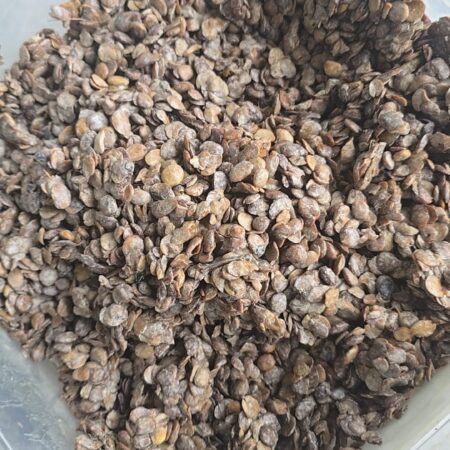 Fresh Iru Woro / Pete