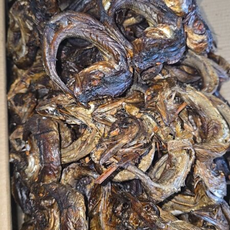 Ijaga Fish - 20 Pieces